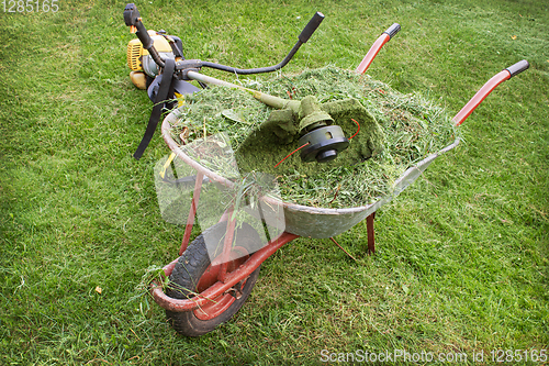 Image of wheelbarrow with grass and petrol trimmer