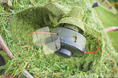 Image of Spool Trimmer  and grass