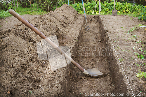 Image of Dug a trench to arrange a deep  and warm bed of