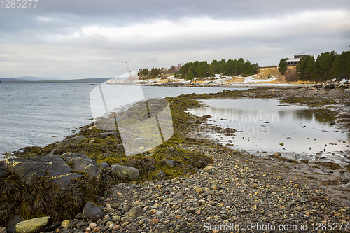 Image of North of Russia. White Sea. Low water