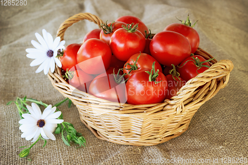 Image of Still life of a basket of tomatoes