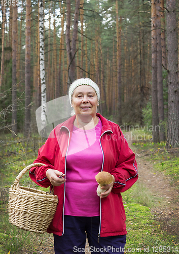 Image of Woman found mushroom in the pine forest