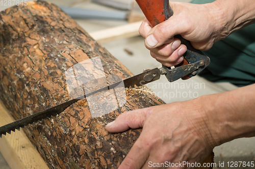 Image of Carpenter saws off the wood piece for birdhouse