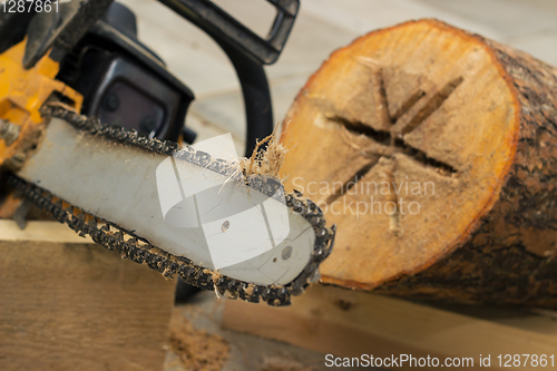 Image of Making birdhouse from logs with chainsaw