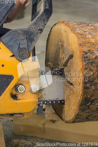 Image of Making a birdhouse from alder log