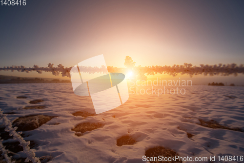 Image of winter landscape during sunset