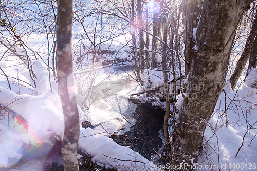 Image of small river in the winter forest