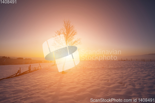 Image of Beautiful winter landscape