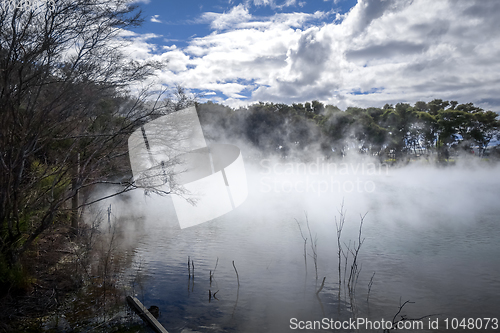 Image of Misty lake and forest in Rotorua, New Zealand