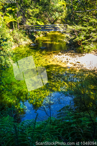 Image of Bridge on a river. Abel Tasman National Park, New Zealand