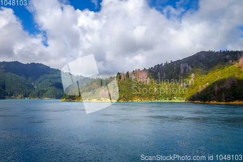 Image of Marlborough Sounds, New Zealand