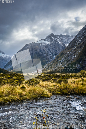 Image of River in Fiordland national park, New Zealand