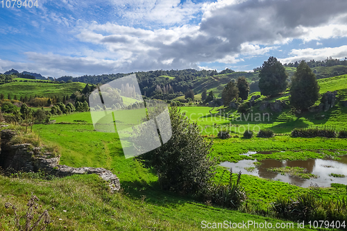 Image of New Zealand countryside landscape