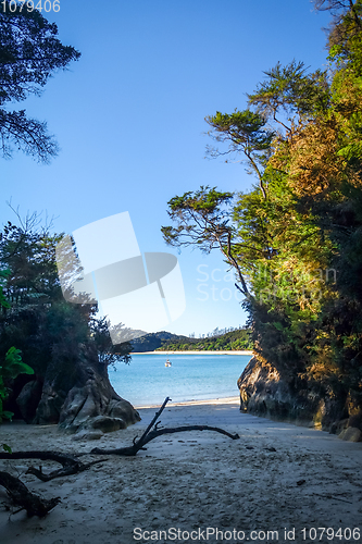 Image of Creek at sunset in Abel Tasman National Park, New Zealand