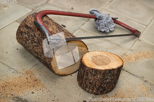 Image of Pieces of wood sawn off for birdhouse
