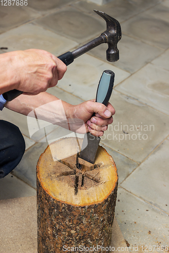 Image of Carpenter performs  internal cavity of birdhouse