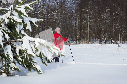 Image of Woman,  europeans, walks in the winter forest