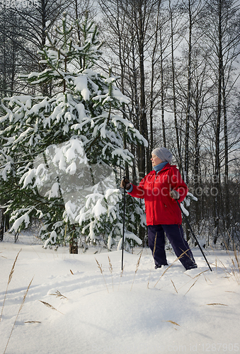 Image of Woman, europeans, winter in the woods