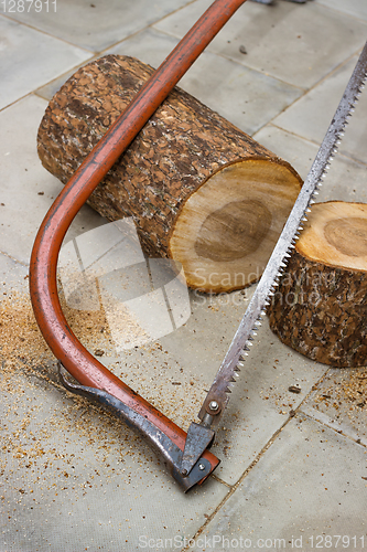 Image of Pieces of wood sawn off for birdhouse