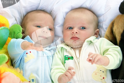 Image of Two baby boys twin brothers