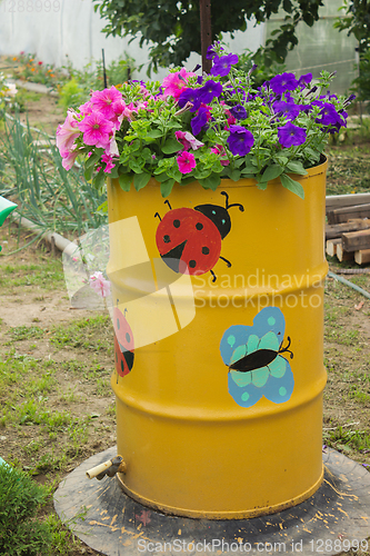 Image of Flowers blooming in the old barrel