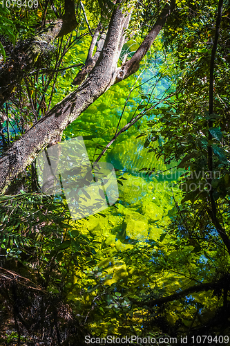 Image of River in Abel Tasman National Park, New Zealand