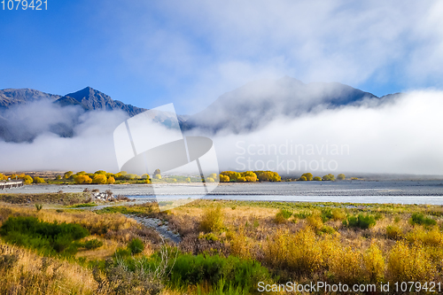 Image of Yellow forest and river in New Zealand mountains