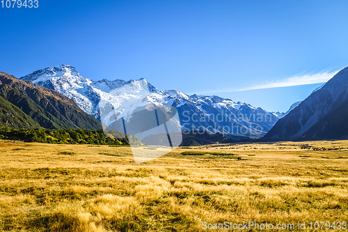 Image of Mount Cook valley landscape, New Zealand