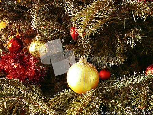 Image of Christmas tree