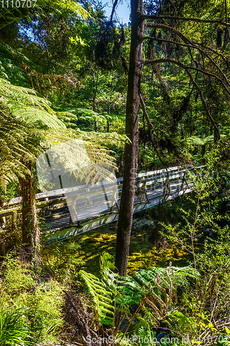 Image of Bridge on a river. Abel Tasman National Park, New Zealand