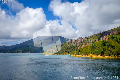 Image of Marlborough Sounds, New Zealand