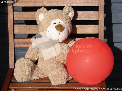 Image of Toy teddy bear