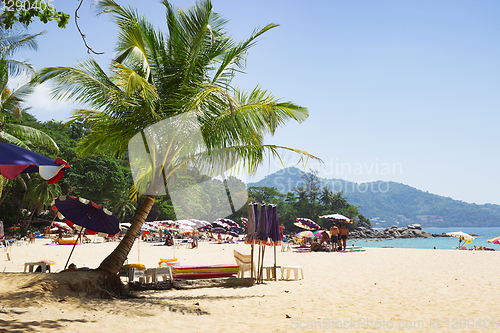 Image of Beach in Phuket, light shade from the palm trees