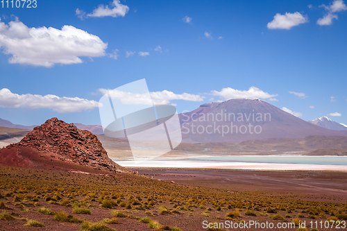 Image of Laguna Honda in sud Lipez Altiplano reserva, Bolivia