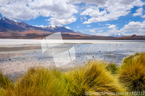 Image of Laguna Honda in sud Lipez Altiplano reserva, Bolivia