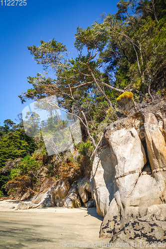 Image of Creek in Abel Tasman National Park, New Zealand