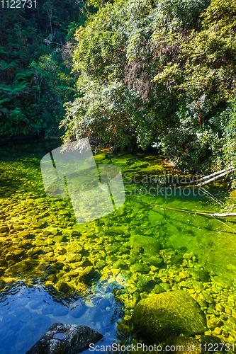 Image of River in Abel Tasman National Park, New Zealand