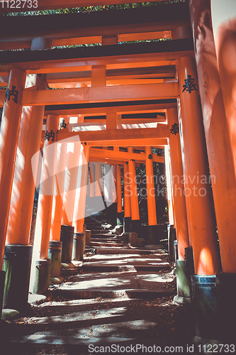 Image of Fushimi Inari Taisha torii, Kyoto, Japan