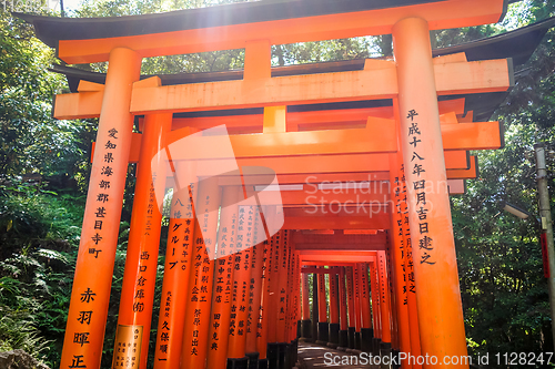 Image of Fushimi Inari Taisha torii, Kyoto, Japan