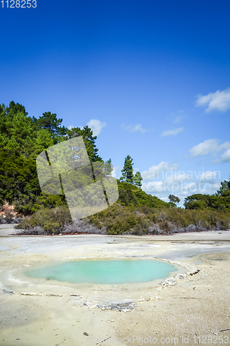 Image of Green lake in Waiotapu, Rotorua, New Zealand