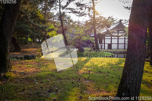 Image of Pavillion in Nara park, Japan