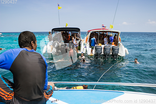 Image of Tourists descend from boat into sea to swim