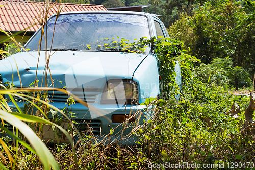 Image of Vehicle abandoned to their fate and overgrown