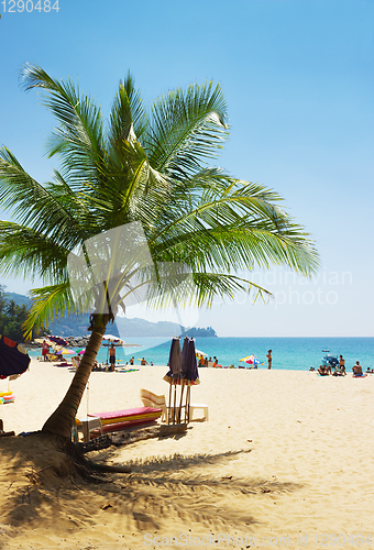 Image of Beach in Phuket, light shade from the palm trees
