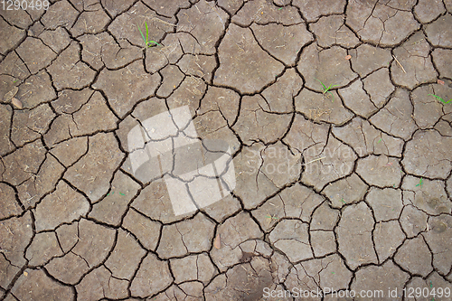 Image of Soil cracked by the scorching sun