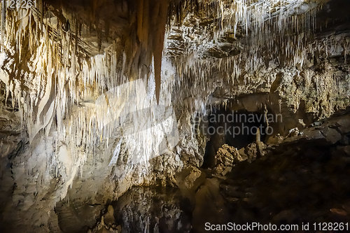 Image of Waitomo glowworm caves, New Zealand