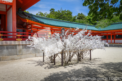 Image of Omikuji tree at Heian Jingu Shrine temple, Kyoto, Japan