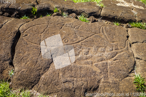 Image of Petroglyphs on rocks, easter island