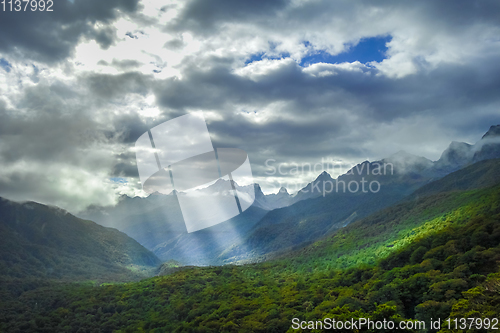 Image of Fiordland national park stormy landscape, New Zealand