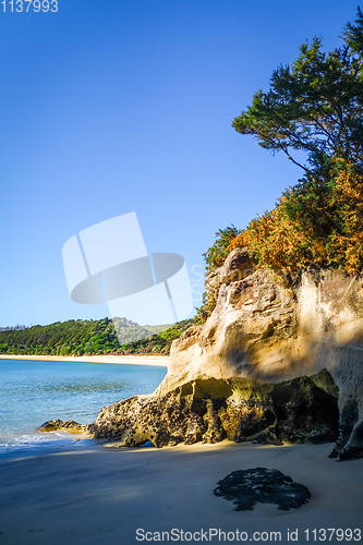 Image of Creek at sunset in Abel Tasman National Park, New Zealand